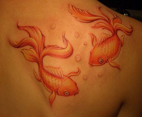 Now for a pretty fish tattoo I'd get this if I liked goldfish that much but